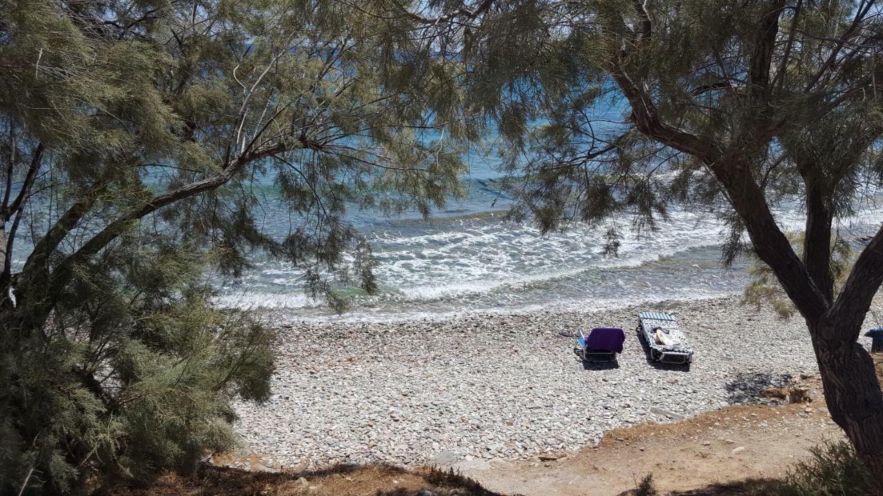 Flora'S Beach And Pool Villa In Syros Liaropa Экстерьер фото