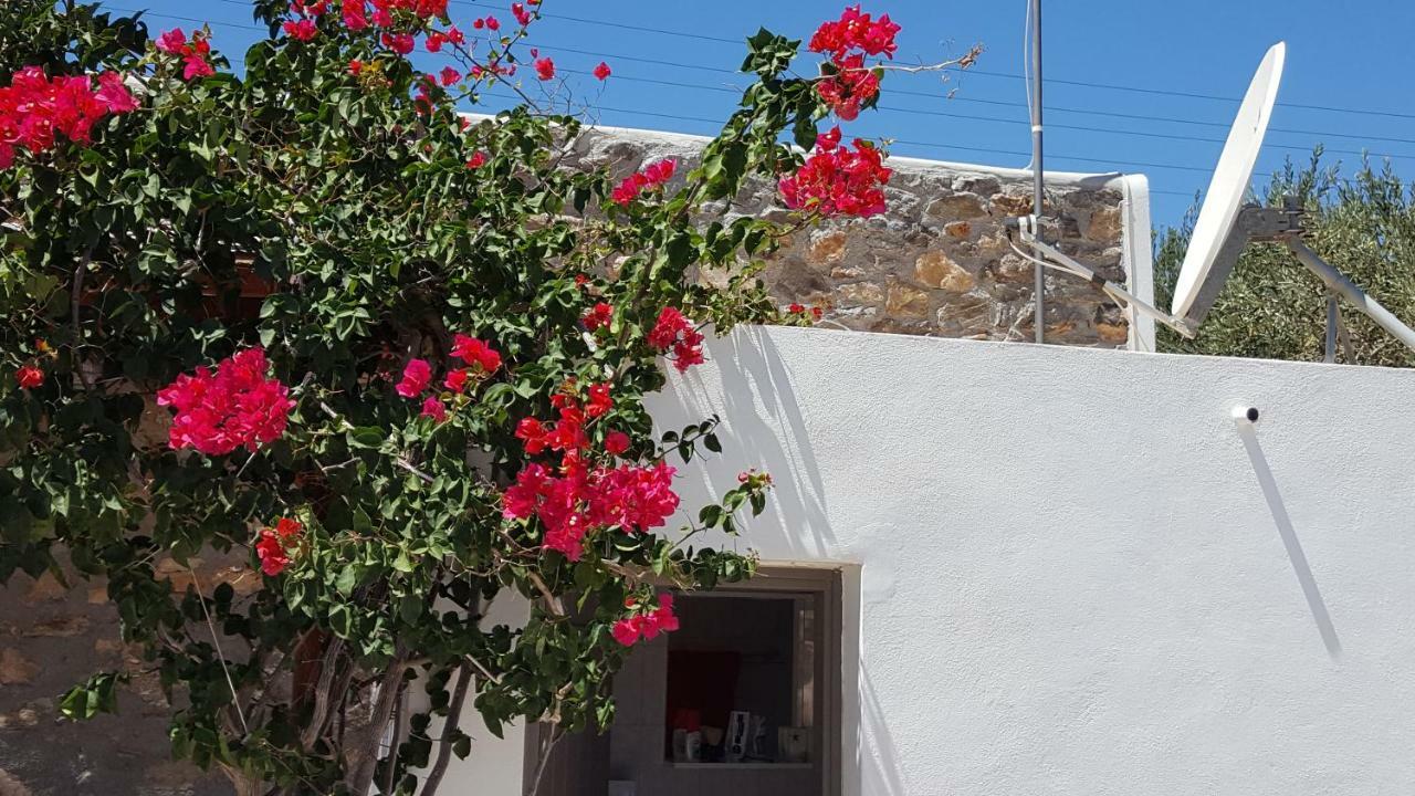Flora'S Beach And Pool Villa In Syros Liaropa Экстерьер фото